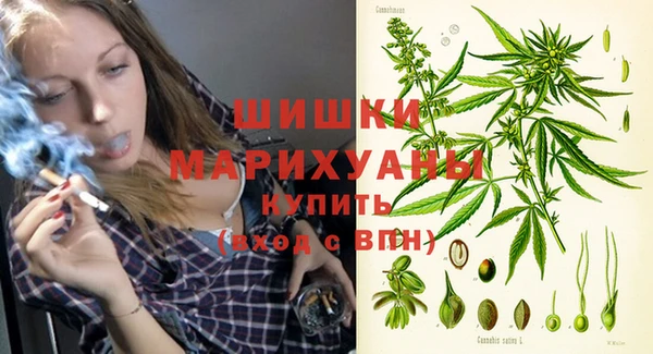 амф Новодвинск