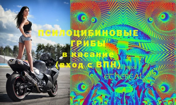 СК Няндома