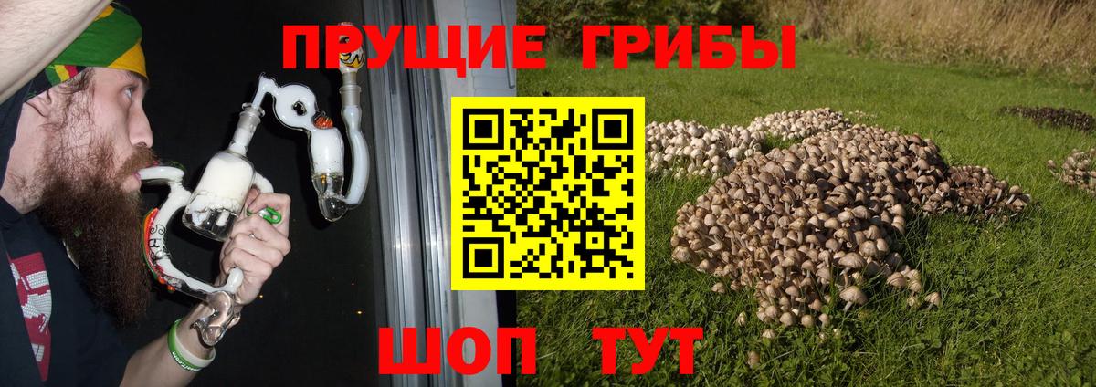 Псилоцибиновые грибы GOLDEN TEACHER  Вход с VPN  Лянтор 